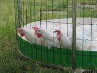 Изображение 233_новый размер.jpg