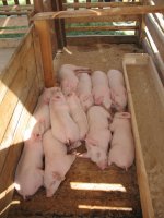 Изображение 235_новый размер.jpg