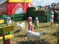 Изображение 287_новый размер.jpg