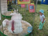 Изображение 231_новый размер.jpg