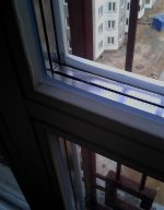 IMG_20120531_201548.jpg