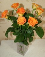 DSC05219.JPG