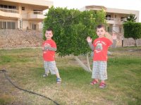 IMG_7203.JPG