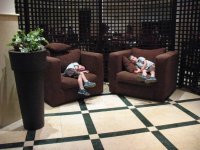 IMG_7440.JPG
