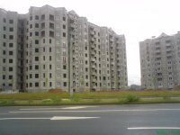 DSC02920.JPG