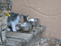 IMG_6765.jpg