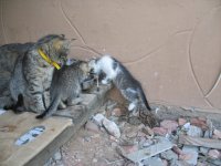 IMG_6766.jpg