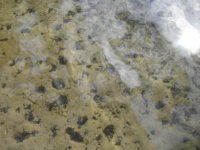 Изображение 104.jpg