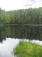 Изображение 117.jpg