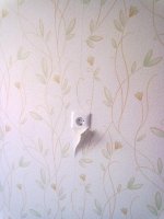 12062012077.jpg