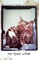 2012-06-14 11.36.04_min.jpg
