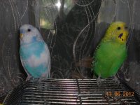 DSCN6077.jpg