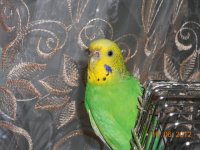 DSCN6061.jpg