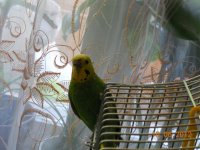 DSCN6059.jpg