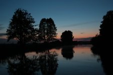 IMG_2495.jpg