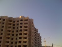 IMG_0380.JPG