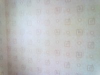 21062012785.jpg