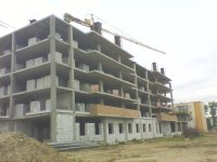 picture_00116.jpg