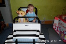 SAM_0093.JPG