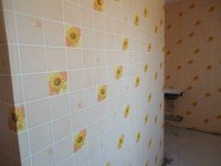 DSC01630.JPG