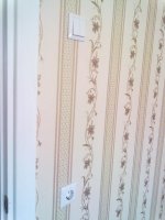 29062012799.jpg
