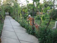 DSC02637.JPG