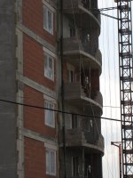 IMG_7389.JPG