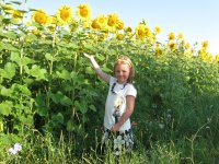 Изображение 25.jpg