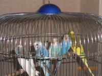 DSCN6460.jpg