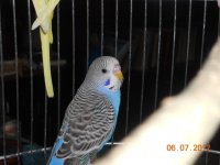 DSCN6440.jpg