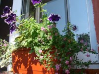 Изображение 001.jpg