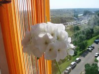 Изображение 003.jpg