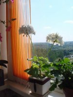 Изображение 004.jpg