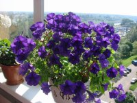 Изображение 006.jpg