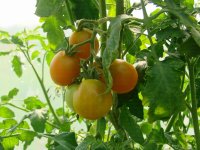 Изображение 010.jpg