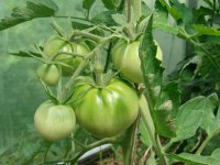 Изображение 012.jpg