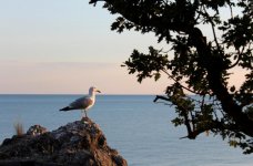 Изображение 314.jpg