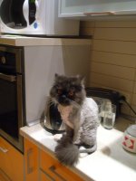 Изображение 050-1.jpg