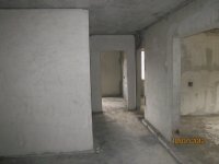 IMG_0230.JPG