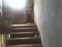 2012-07-22 12.03.49.jpg