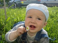 DSC04146 (Копировать).JPG