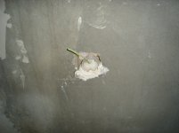 DSC03530.JPG
