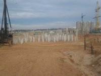 20120731_0095_1.jpg