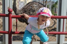 IMG_0933.jpg