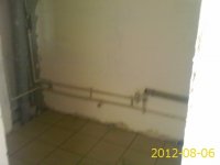 PIC120806001.jpg