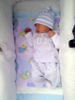 IMG_20120806_114527.jpg