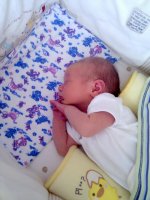 IMG_20120803_143557.jpg