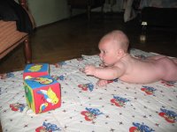 IMG_2898.jpg