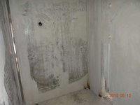DSC00529_thumb.jpg