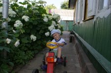 DSC05022.jpg